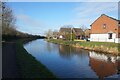 Trent & Mersey Canal towards Bridge #91