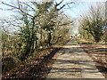 Footpath crossing Lewd Lane