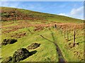 SO4494 : Path up Bodbury Hill by Mat Fascione