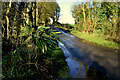 Wet along Loughmuck Road