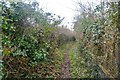 Cleeve : Footpath