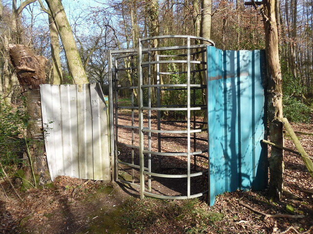 Tall Kissing Gate in wood near Hampden Road