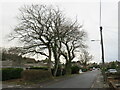 SY9792 : Sandy Lane, Upton, near Poole by Malc McDonald