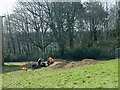 Replacing felled trees, Gaer Estate, Newport 