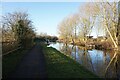 Trent & Mersey Canal towards Bridge #103