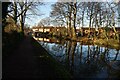 Trent & Mersey canal towards bridge #104A