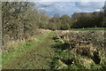 Footpath north of Paine