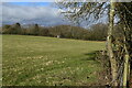 Field beside footpath by Paine