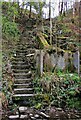 Steps in Railway Cutting near Waterbarn Mill