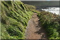C9545 : Coastal footpath by N Chadwick