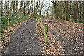 Track in woods east of Otford Manor