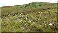 NG5734 : Historic field boundary at Eyre by Sandy Gerrard