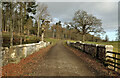 A farm road on the Riddell Estate