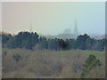 The twin spires of Shrewsbury town centre viewed from a reservoir near Cound