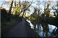 Trent & Mersey canal towards bridge #106