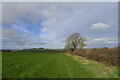 The Leland Trail near Droppinglane Farm