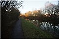 Trent & Mersey canal towards bridge #110