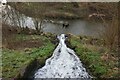 SJ6867 : Outfall into the River Dane from the Trent & Mersey canal by Ian S