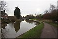 Trent & Mersey canal towards bridge #169