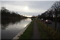 Trent & Mersey canal towards bridge #166