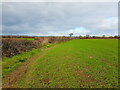 Footpath off Ruskway Lane