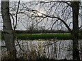 Watery Welsh meadows from England