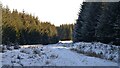 NC7713 :  Snowy Forestry Track near Torr an Chlobha, Strath Brora, Sutherland by Andrew Tryon
