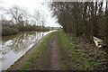 Trent & Mersey canal towards bridge #149