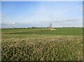 Great Hale Fen