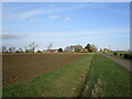 Poplar Farm, Great Hale Fen