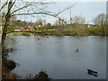 SO8979 : Mill pond, Brake Mill, Stakenbridge by Chris Allen