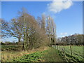 Footpath by the River Greet at Kirklington