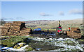 NY9340 : Timber stacks along route of Weardale Way by Trevor Littlewood