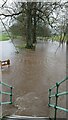 The aftermath of Storm Eunice - Flooded pasture land