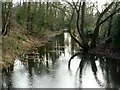 Water feature at Ixworth Abbey