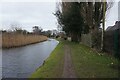 Bridgewater Canal towards Moore Bridge