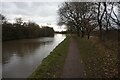 Bridgewater canal towards the M56 Bridge