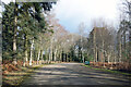 Road in Wellington Country Park