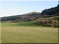 Beneath the Ochils, Rossie