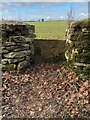 Stone Stile near Round Elm, Lypiatt Park, Bisley GS1077