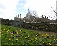 TQ7468 : Rochester Cathedral by pam fray