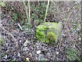 SO1291 : Curious lump of stone on the railway embankment by Penny Mayes