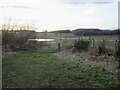 Wetland, Duncrub