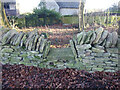 Stone Stile, Elkstone