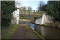 Trent & Mersey Canal towards bridge #212