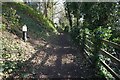 Overland route at Saltersford Tunnel, Trent & Mersey Canal