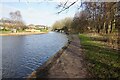 Trent & Mersey Canal towards bridge #199