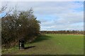 In Primrose Valley Local Nature Reserve