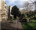 SE7428 : The churchyard, Howden Minster by habiloid