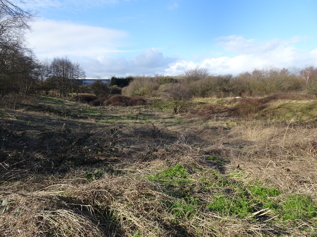 Wasteland View © Gordon Griffiths cc-by-sa/2.0 :: Geograph Britain and ...